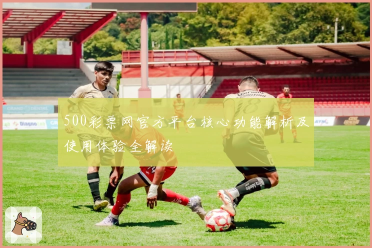 500彩票网官方平台核心功能解析及使用体验全解读