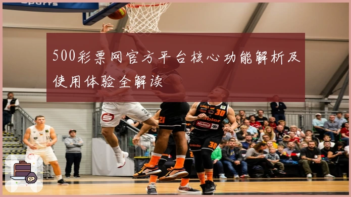 500彩票网官方平台核心功能解析及使用体验全解读